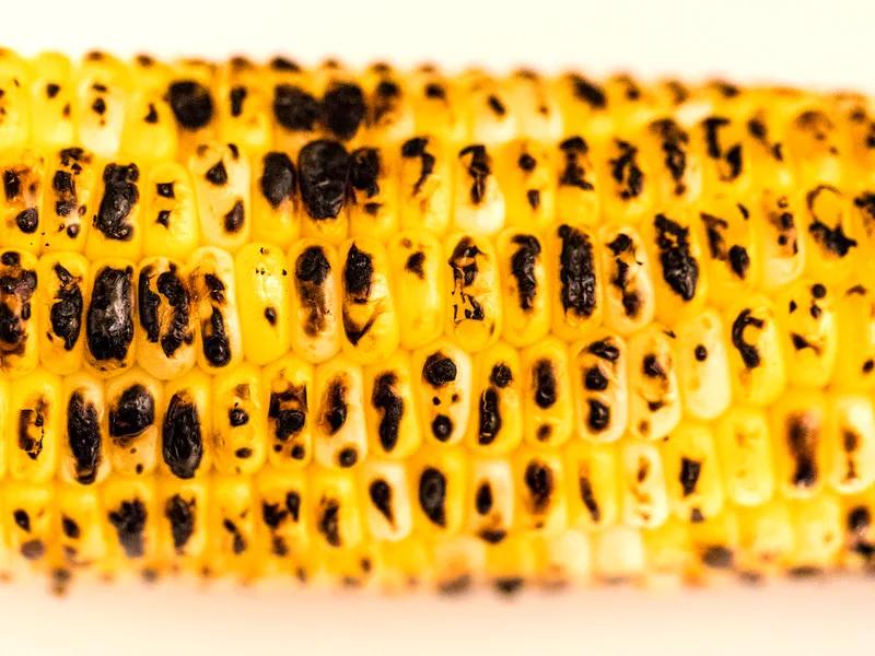 Charred corn on the cob with blistered golden kernels, husk pulled back, ready to eat
