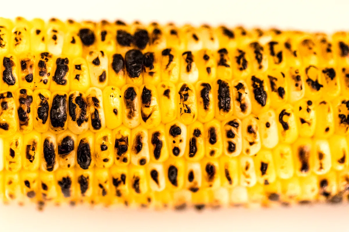 Charred corn on the cob with blistered golden kernels, husk pulled back, ready to eat