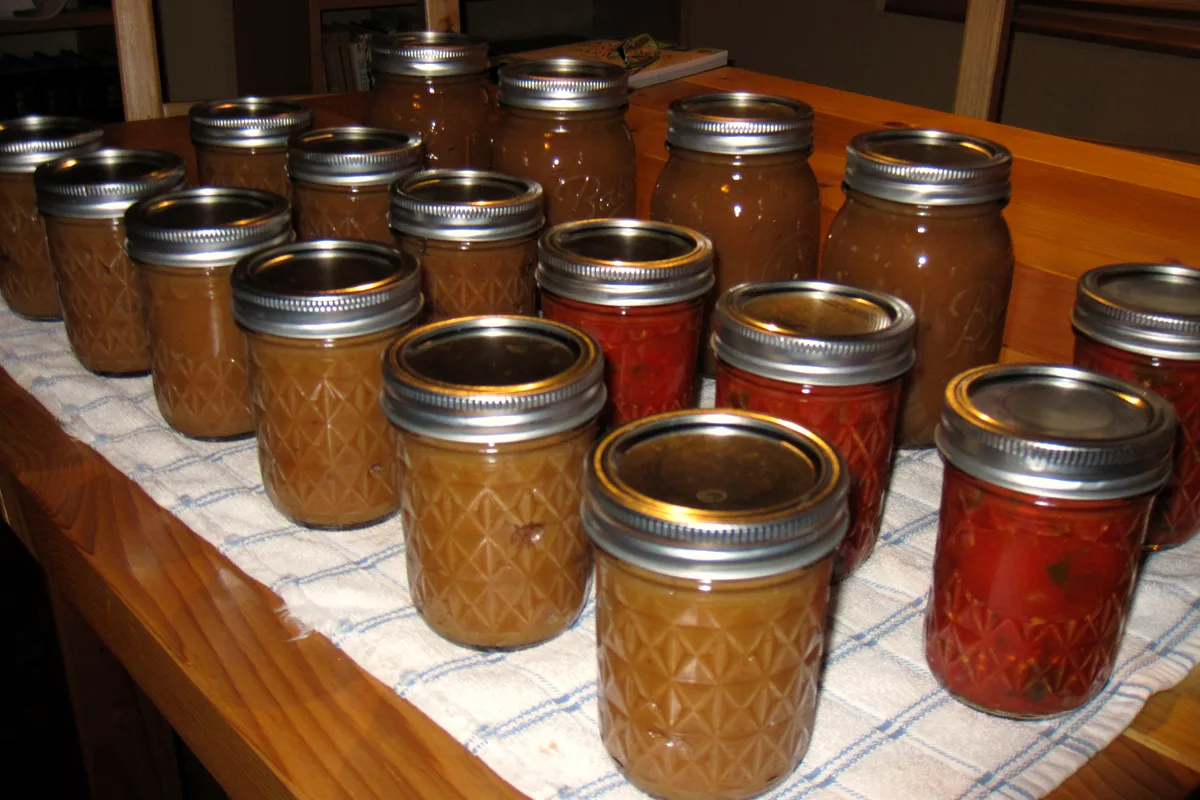 Rows of sealed home-canned jars cooling on a kitchen towel after water-bath processing