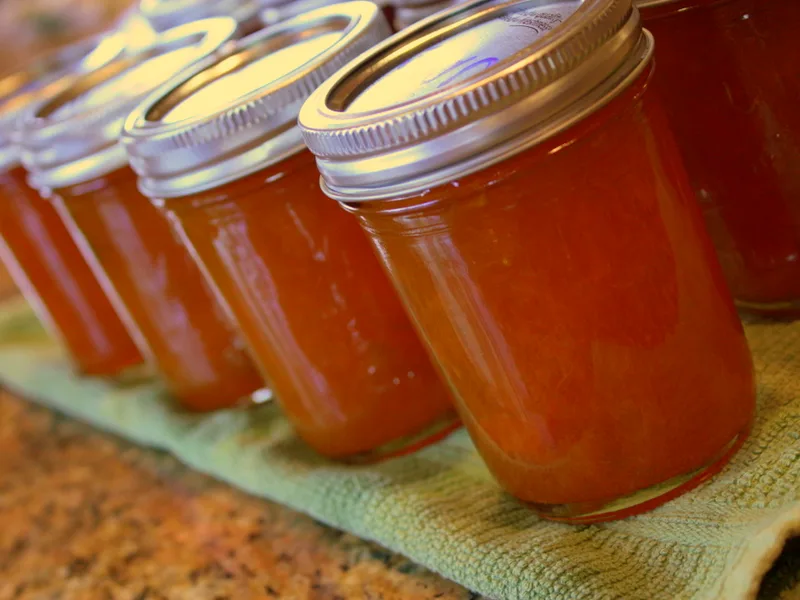 A row of sealed half-pint jars of deep golden-orange apricot jam cooling on a kitchen towel