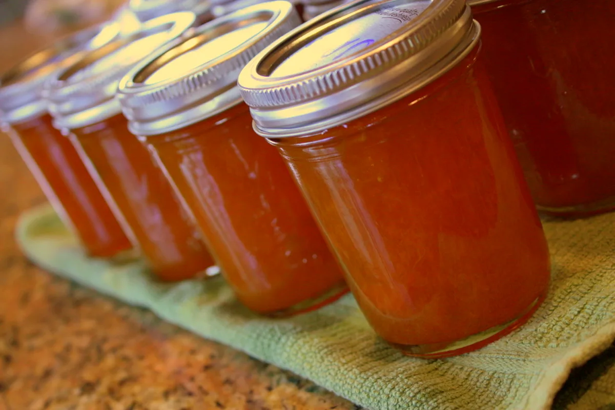 A row of sealed half-pint jars of deep golden-orange apricot jam cooling on a kitchen towel