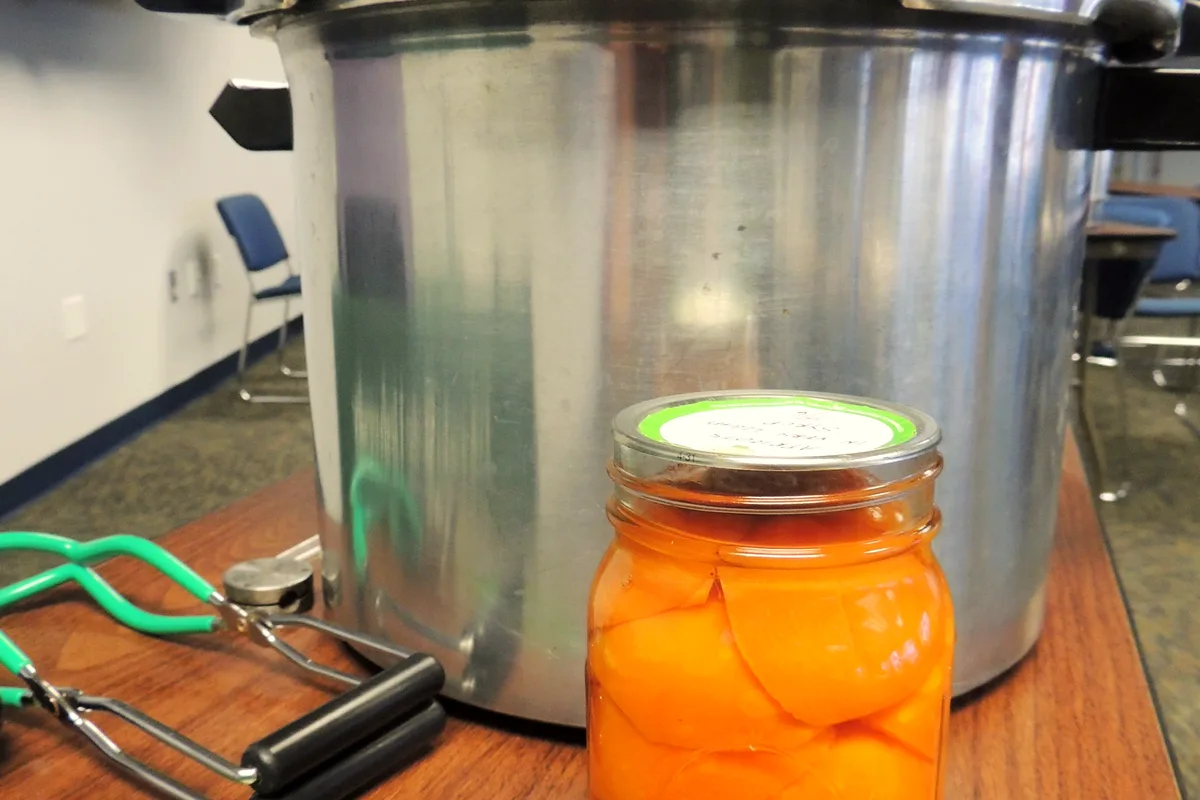 Sealed jar of golden canned apricot halves in light syrup in front of a canner, jar lifter beside it