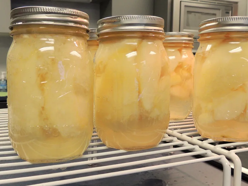 Sealed glass jars of pale golden canned pear pieces in light syrup cooling on a white wire rack