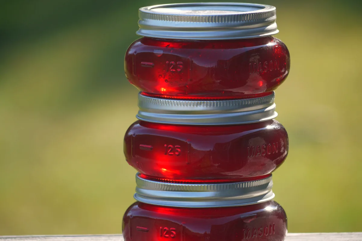 Three small mason jars of clear, jewel-red crab apple jelly stacked outdoors, glowing in sunlight