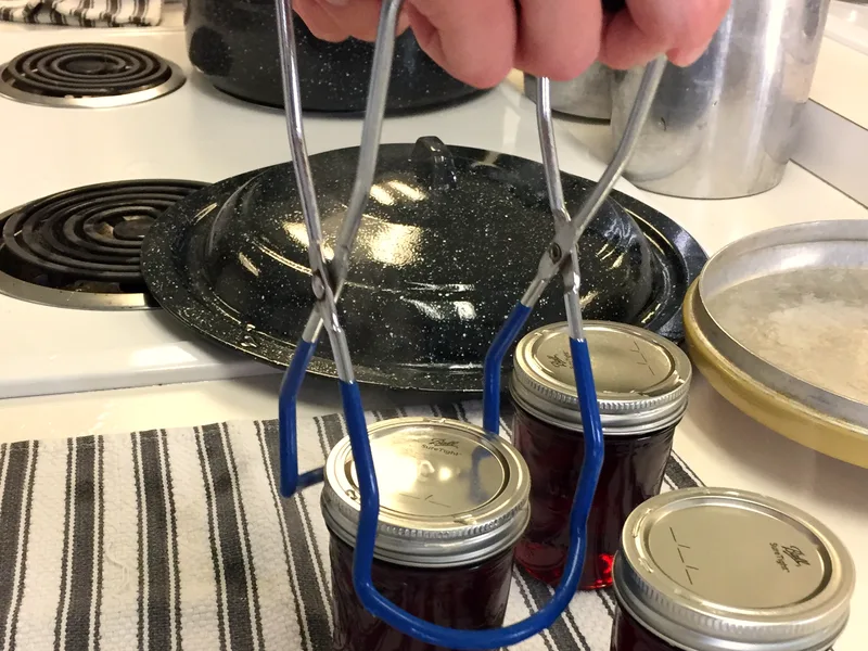 Jar lifter setting a hot jar of deep purple grape jelly on a towel to cool after canning