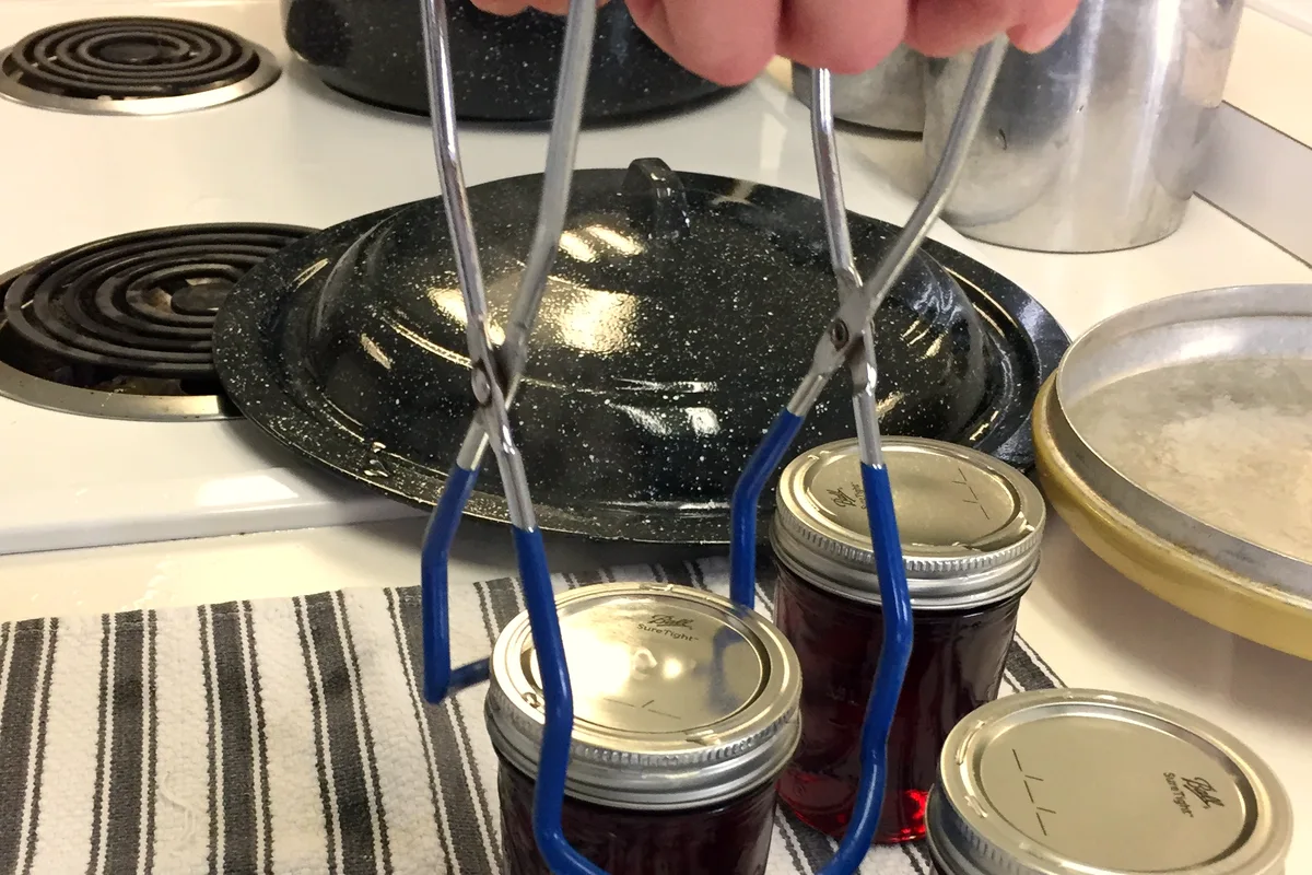 Jar lifter setting a hot jar of deep purple grape jelly on a towel to cool after canning