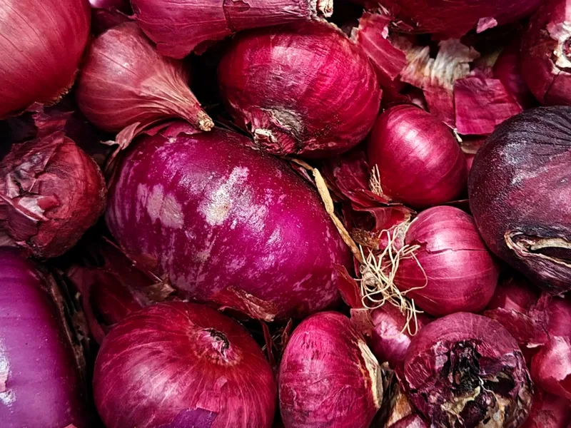 Fresh red onions piled together with purple skins, ready for slicing and pickling
