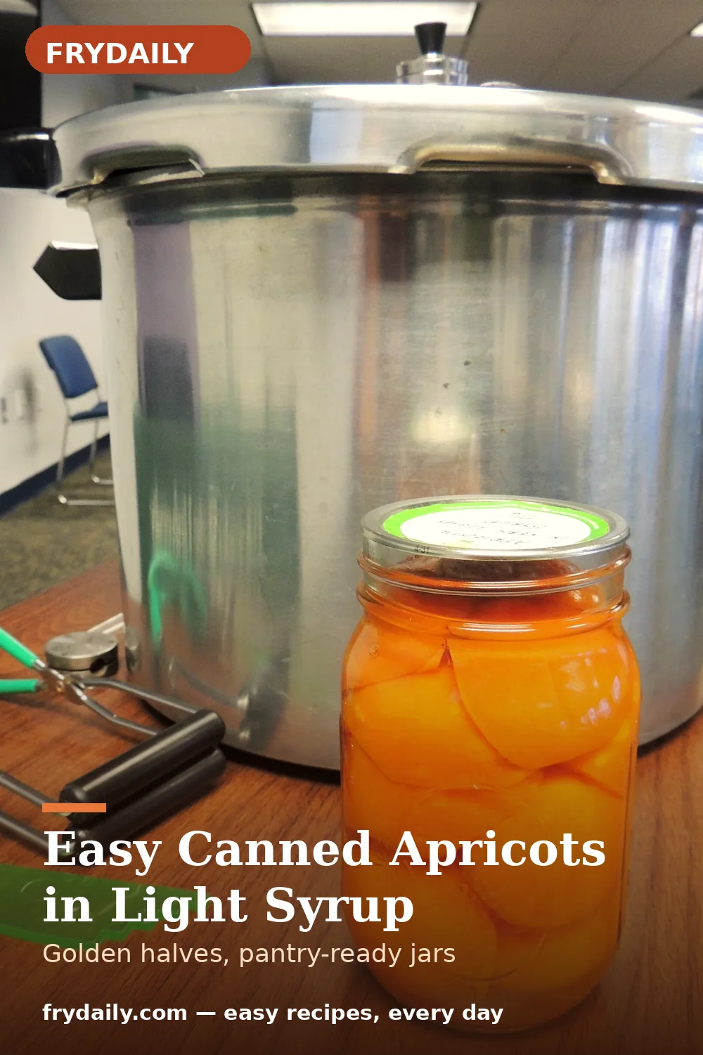 Pinterest pin: Easy Canned Apricots in Light Syrup recipe from FryDaily