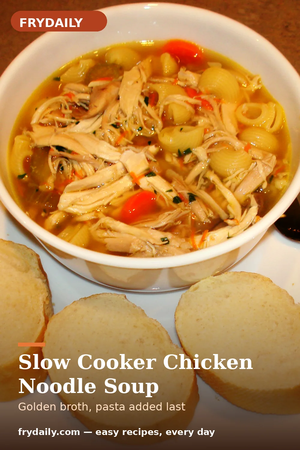 Pinterest pin: Slow Cooker Chicken Noodle Soup recipe from FryDaily