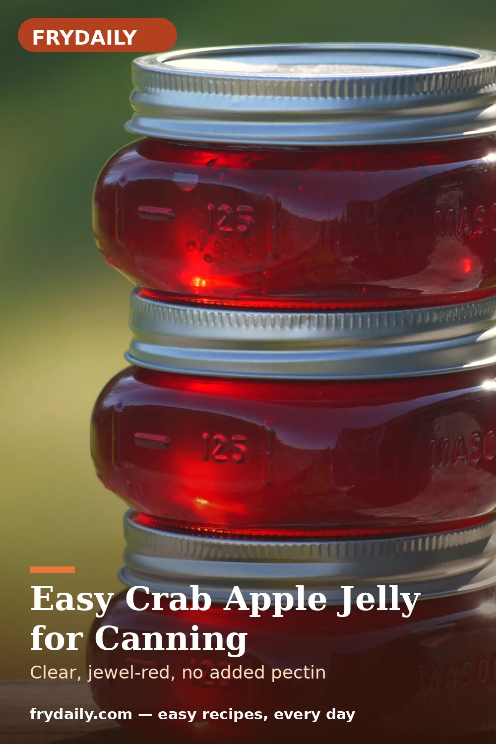Pinterest pin: Easy Crab Apple Jelly for Canning recipe from FryDaily
