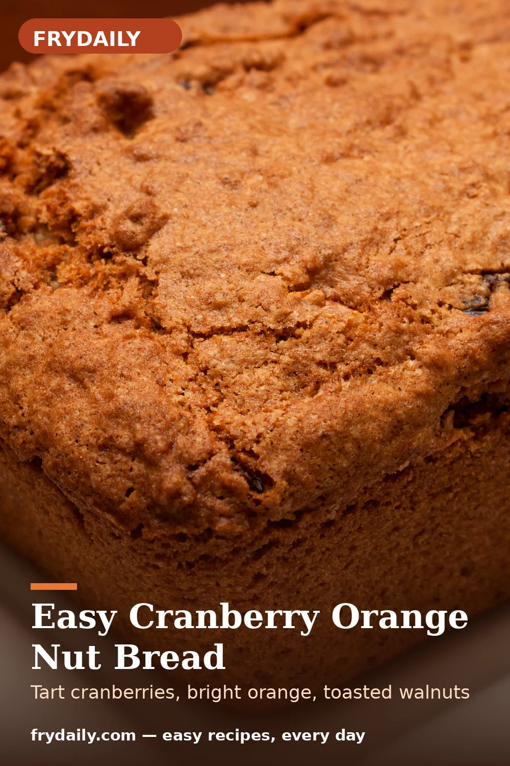 Pinterest pin: Easy Cranberry Orange Nut Bread recipe from FryDaily