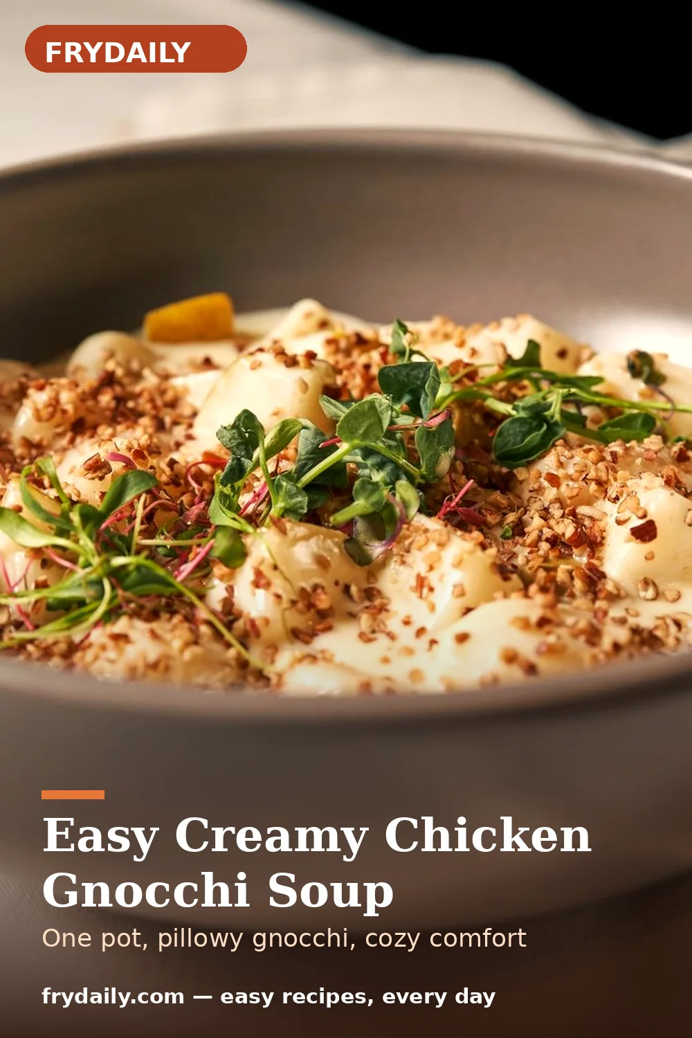 Pinterest pin: Easy Creamy Chicken Gnocchi Soup recipe from FryDaily