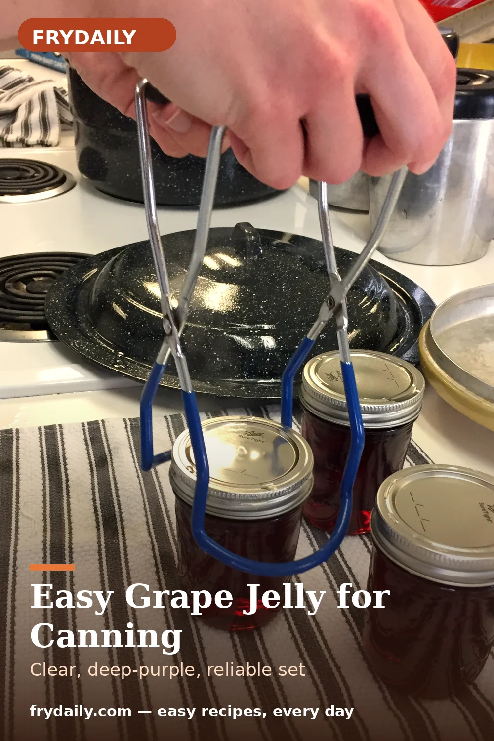 Pinterest pin: Easy Grape Jelly for Canning recipe from FryDaily