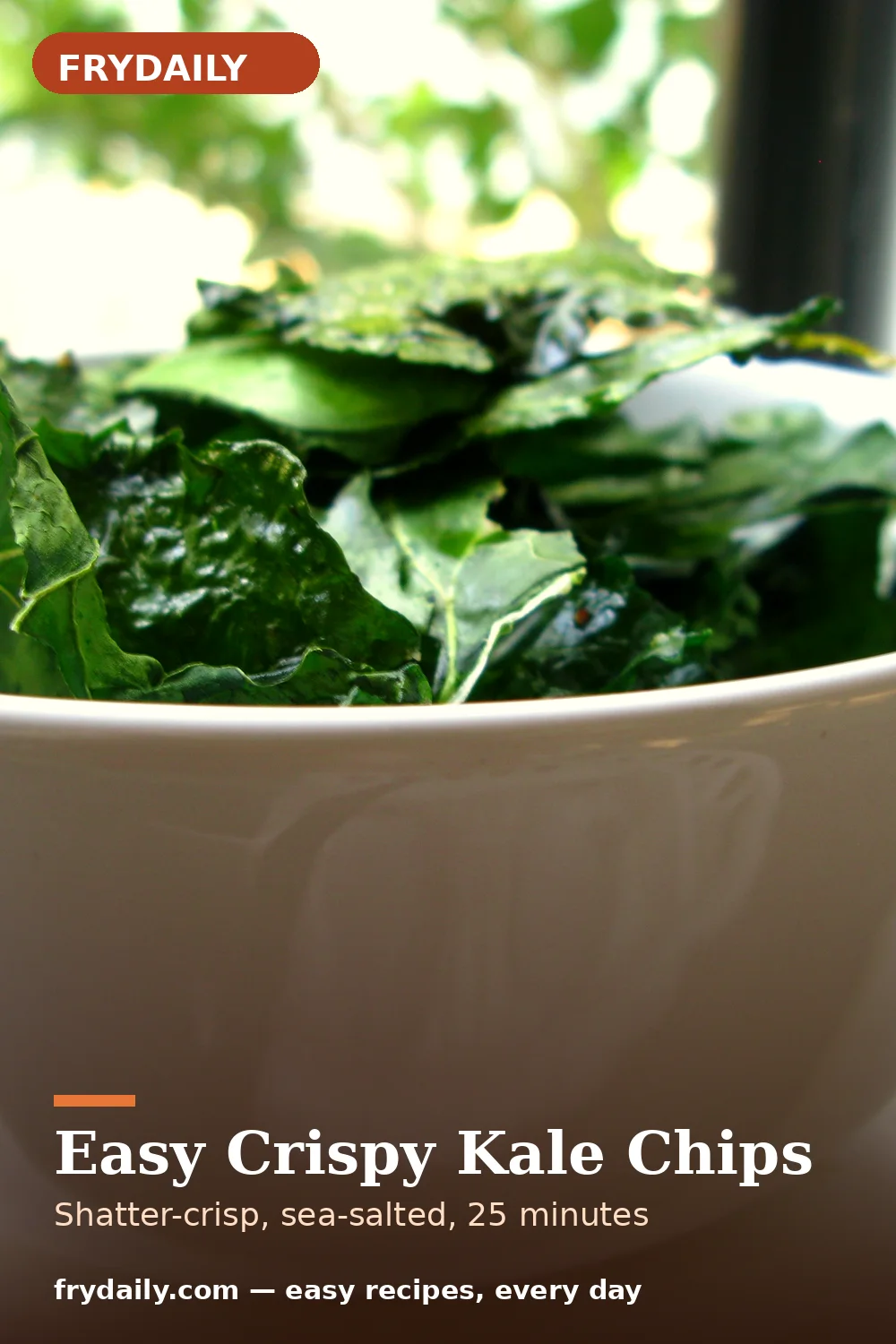 Pinterest pin: Easy Crispy Kale Chips recipe from FryDaily
