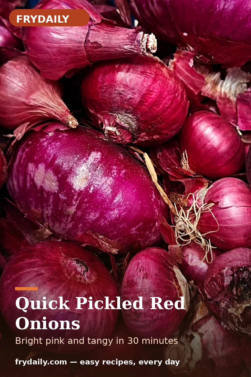 Pinterest pin: Quick Pickled Red Onions recipe from FryDaily