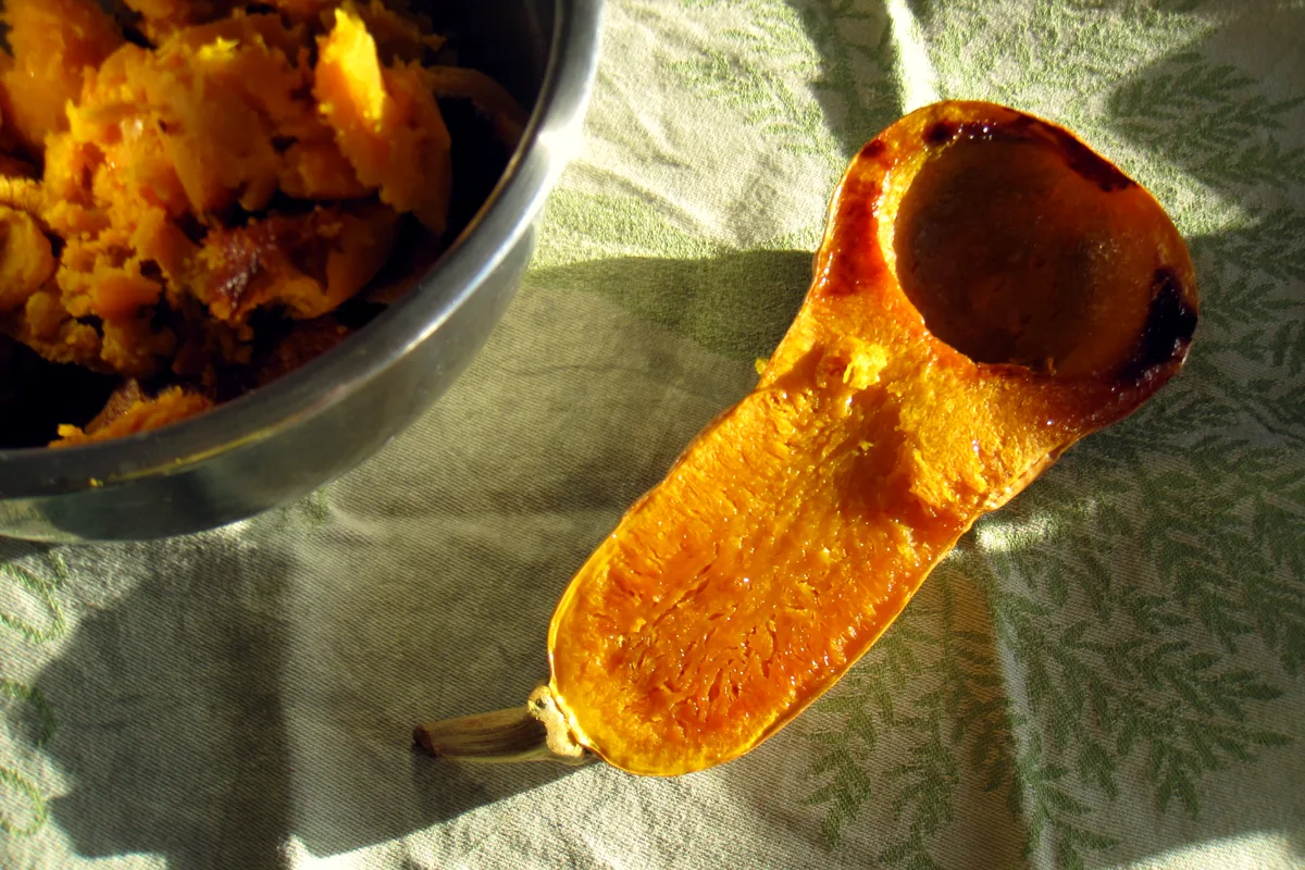 Roasted butternut squash half beside a bowl of scooped roasted squash on a cloth